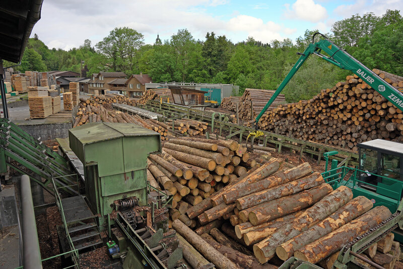 Egli Sargproduktion, Dahinden Holz, Baumstaemme | © Egli Sargproduktion AG